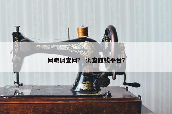 网赚调查网？ 调查赚钱平台？