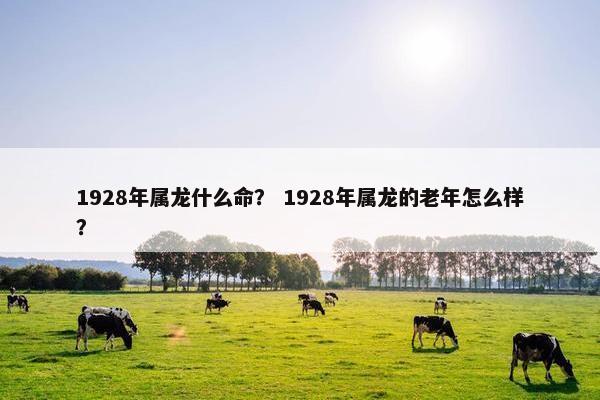 1928年属龙什么命？ 1928年属龙的老年怎么样？