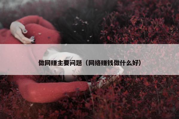 做网赚主要问题（网络赚钱做什么好）