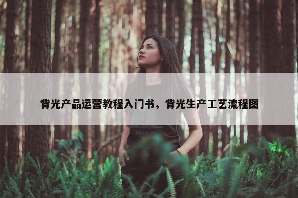 背光产品运营教程入门书，背光生产工艺流程图