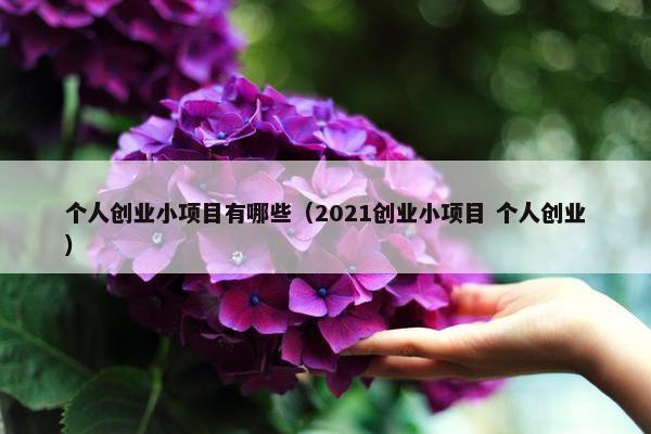 个人创业小项目有哪些（2021创业小项目 个人创业）