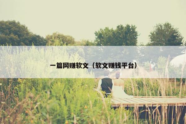 一篇网赚软文（软文赚钱平台）