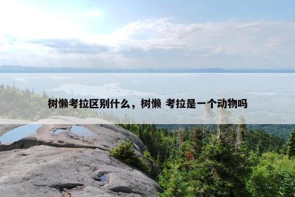 树懒考拉区别什么，树懒 考拉是一个动物吗