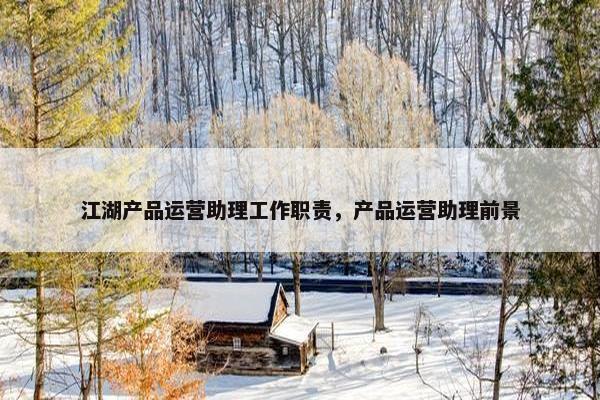 江湖产品运营助理工作职责，产品运营助理前景