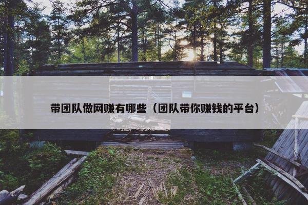 带团队做网赚有哪些（团队带你赚钱的平台）