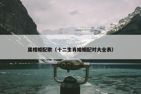 属相婚配歌（十二生肖婚姻配对大全表）