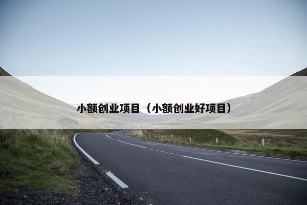 小额创业项目（小额创业好项目）