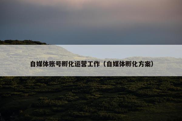 自媒体账号孵化运营工作（自媒体孵化方案）