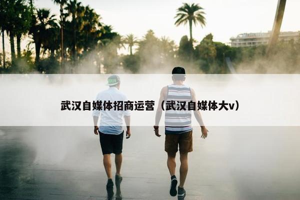 武汉自媒体招商运营（武汉自媒体大v）