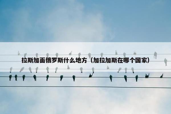 拉斯加面俄罗斯什么地方（加拉加斯在哪个国家）