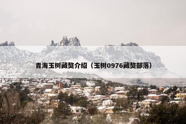 青海玉树藏獒介绍（玉树0976藏獒部落）