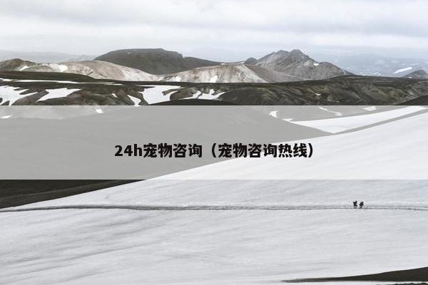 24h宠物咨询（宠物咨询热线）