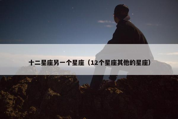 十二星座另一个星座（12个星座其他的星座）