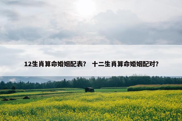 12生肖算命婚姻配表？ 十二生肖算命婚姻配对？