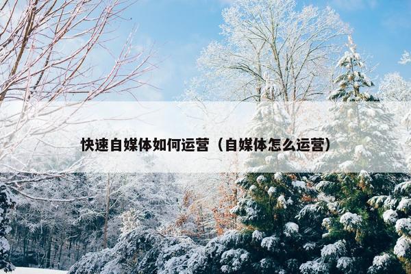 快速自媒体如何运营(自媒体怎么运营) 快速自媒体如何运营(自媒体怎么运营)