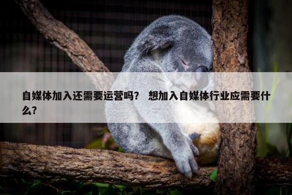 自媒体加入还需要运营吗？ 想加入自媒体行业应需要什么？