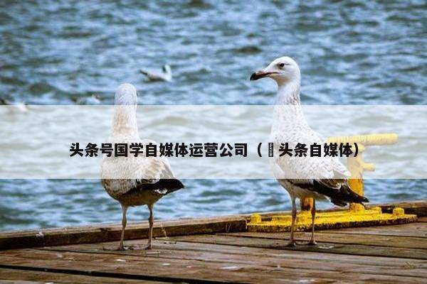 头条号国学自媒体运营公司(恵头条自媒体) 头条号国学自媒体运营公司(恵头条自媒体)