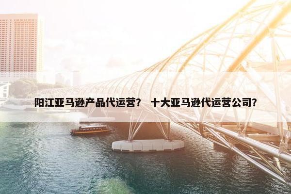 阳江亚马逊产品代运营？ 十大亚马逊代运营公司？