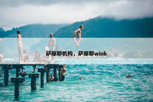 萨摩耶机构，萨摩耶wink