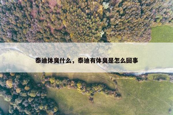 泰迪体臭什么，泰迪有体臭是怎么回事