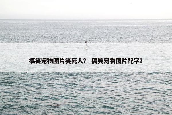 搞笑宠物图片笑死人？ 搞笑宠物图片配字？