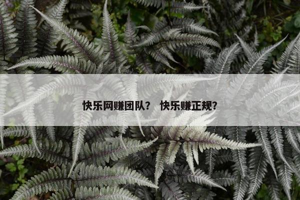 快乐网赚团队？ 快乐赚正规？
