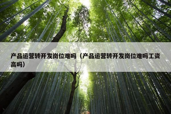 产品运营转开发岗位难吗（产品运营转开发岗位难吗工资高吗）