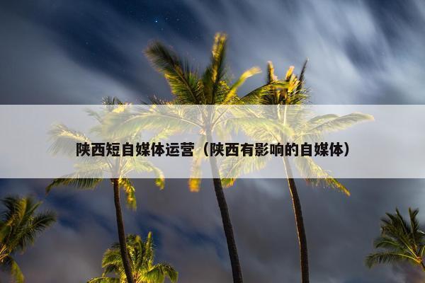陕西短自媒体运营（陕西有影响的自媒体）