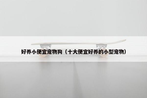 好养小便宜宠物狗（十大便宜好养的小型宠物）