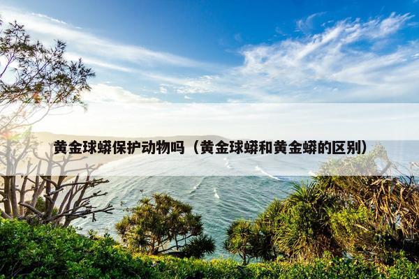 黄金球蟒保护动物吗（黄金球蟒和黄金蟒的区别）