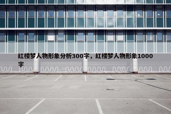 红楼梦人物形象分析300字，红楼梦人物形象1000字