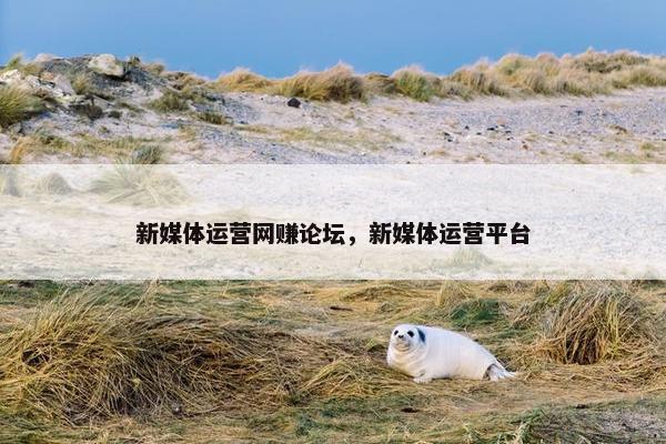 新媒体运营网赚论坛，新媒体运营平台