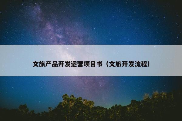 文旅产品开发运营项目书（文旅开发流程）