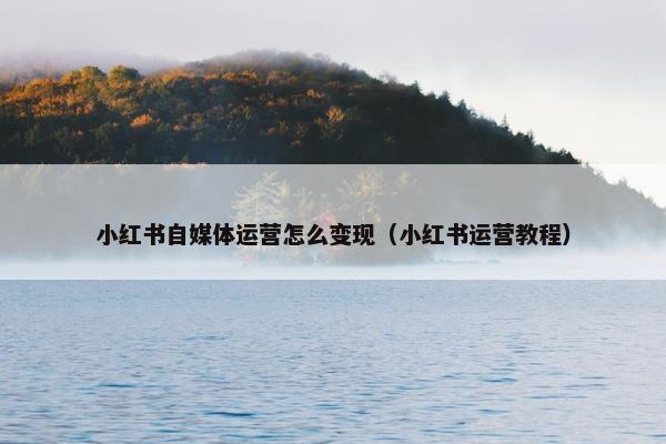 小红书自媒体运营怎么变现（小红书运营教程）