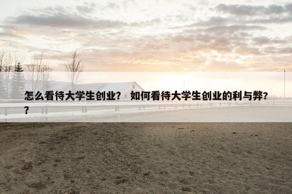 怎么看待大学生创业？ 如何看待大学生创业的利与弊?？