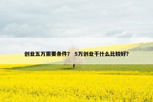 创业五万需要条件？ 5万创业干什么比较好？
