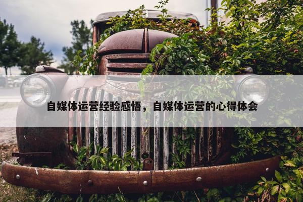 自媒体运营经验感悟，自媒体运营的心得体会