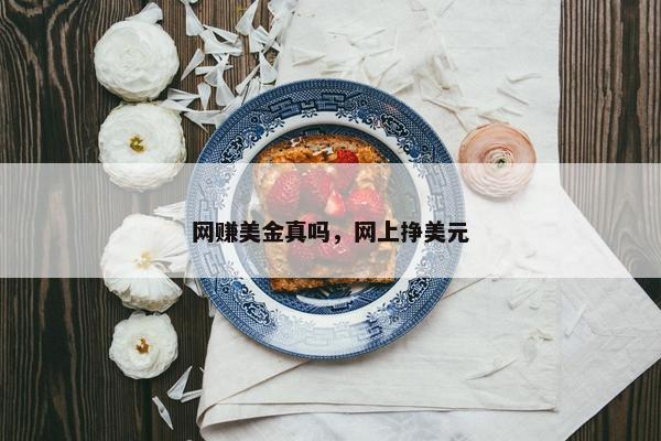 网赚美金真吗，网上挣美元