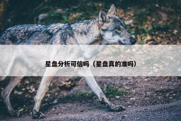 星盘分析可信吗（星盘真的准吗）