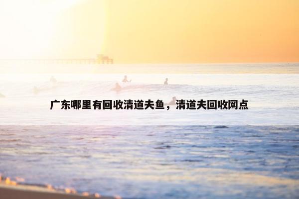 广东哪里有回收清道夫鱼，清道夫回收网点