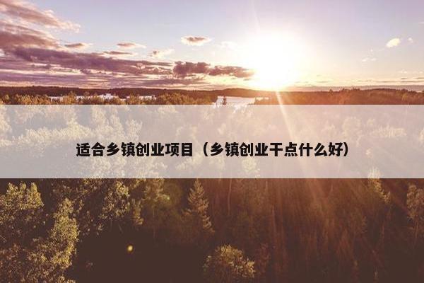 适合乡镇创业项目（乡镇创业干点什么好）