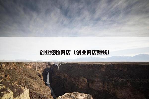 创业经验网店（创业网店赚钱）