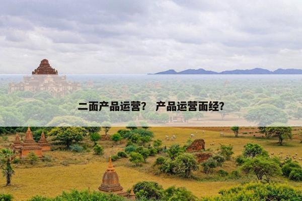 二面产品运营？ 产品运营面经？