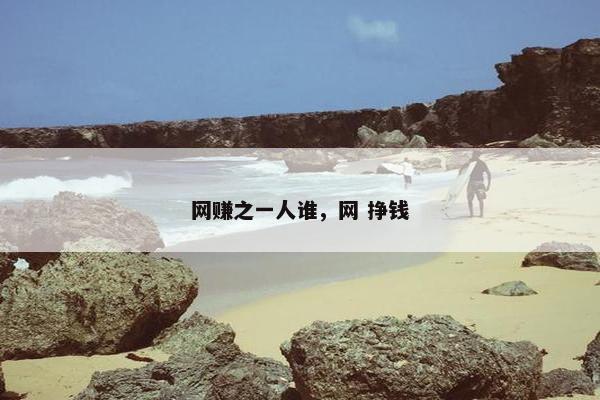 网赚之一人谁，网 挣钱