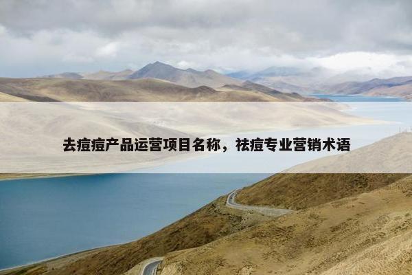 去痘痘产品运营项目名称，祛痘专业营销术语