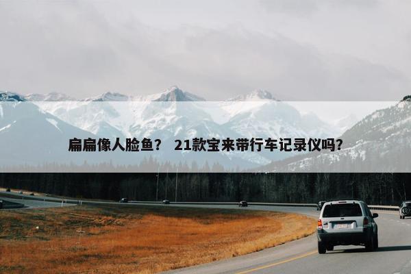 扁扁像人脸鱼？ 21款宝来带行车记录仪吗？