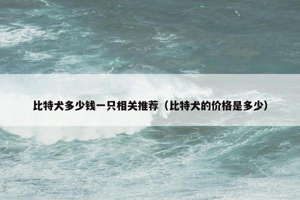 比特犬多少钱一只相关推荐（比特犬的价格是多少）