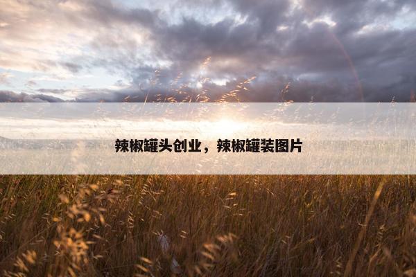 辣椒罐头创业，辣椒罐装图片