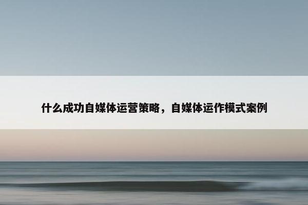 什么成功自媒体运营策略，自媒体运作模式案例