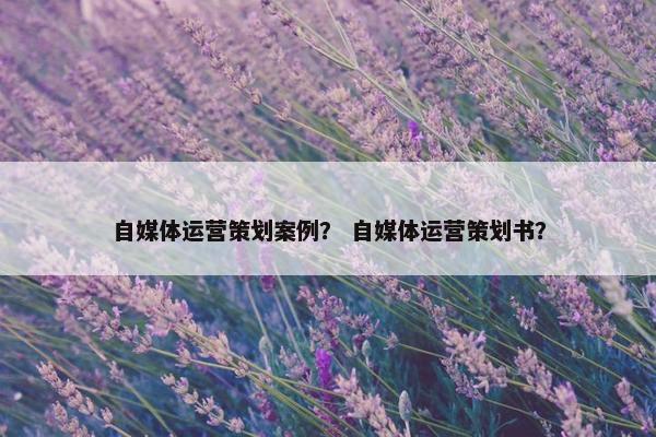 自媒体运营策划案例? 自媒体运营策划书? 自媒体运营策划案例? 自媒体运营策划书?